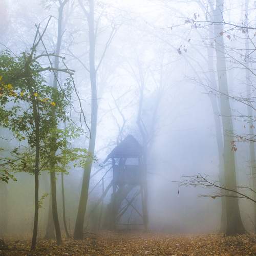 Photo #6756796