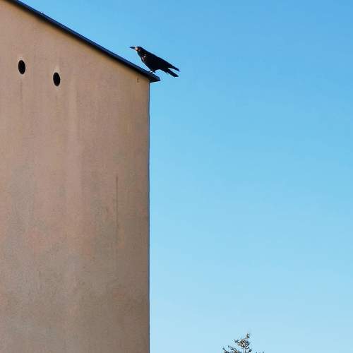 Photo #6756811