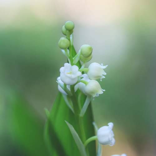 Photo #6756919