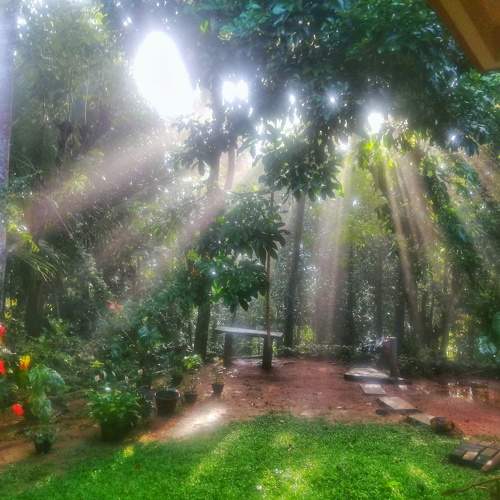 Photo #6756966