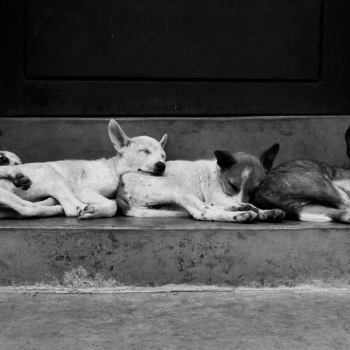 A LITTLE TIME TOGETHER WITH MATES