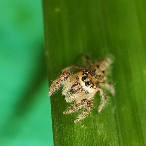 Photo #6757058