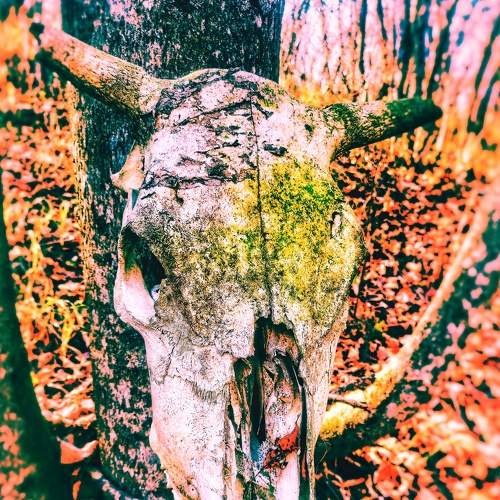 Photo #6757117