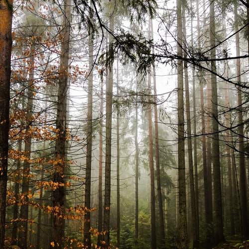 Photo #6757199