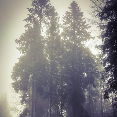 Photo #6757200
