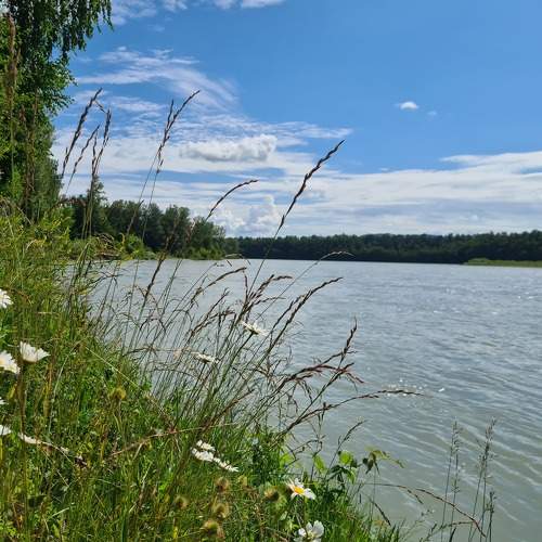 Photo #6757465