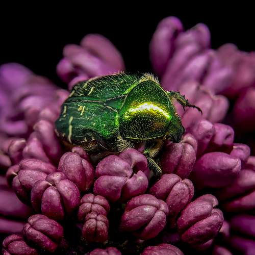 Photo #6757717