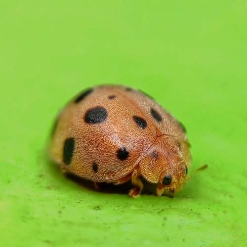 Photo #6757813