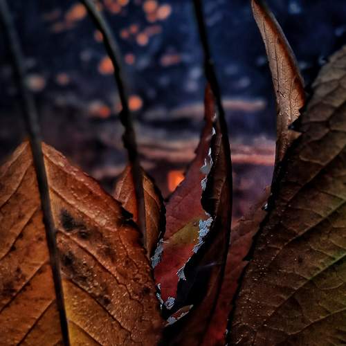 Photo #6758151