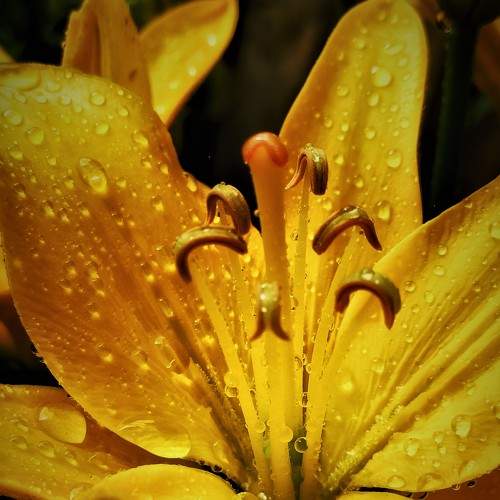 Photo #6758222