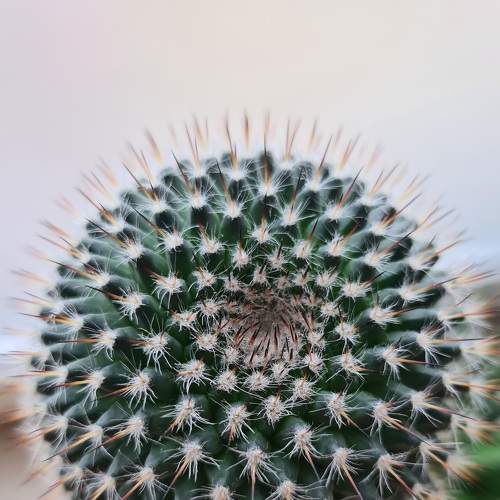 Photo #6758453