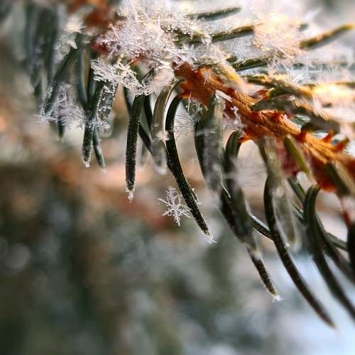 Photo #6758503