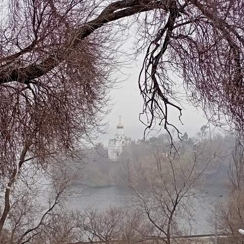 Photo #6758568