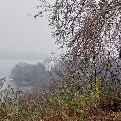 Photo #6758581
