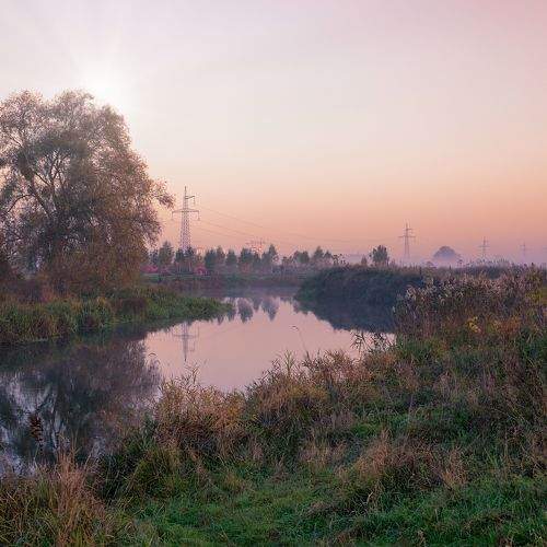 Photo #6758769