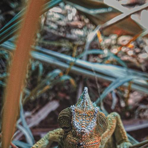 Photo #6759284