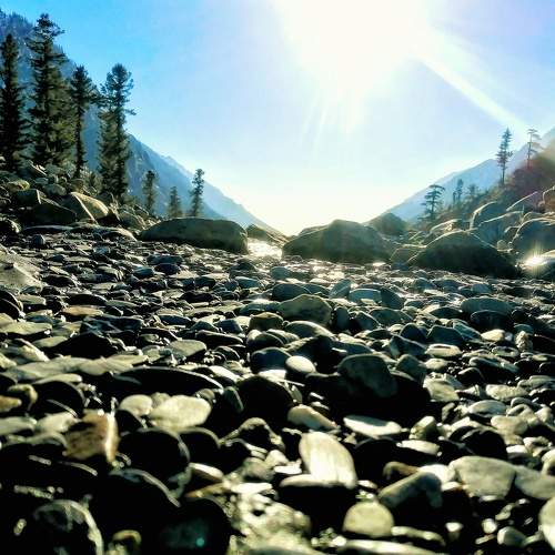 Photo #6759513