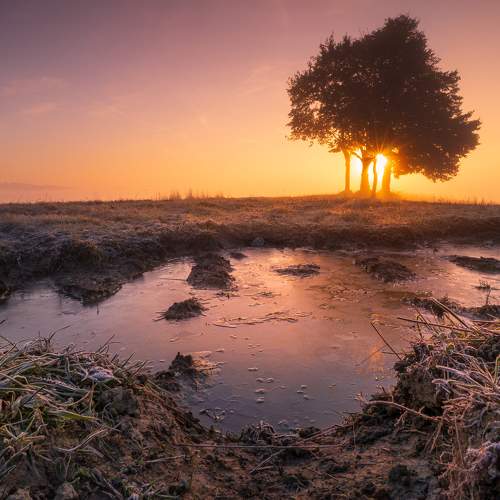 Foggy morning in Podhale