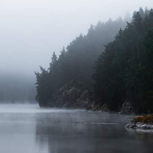 Photo #6760370