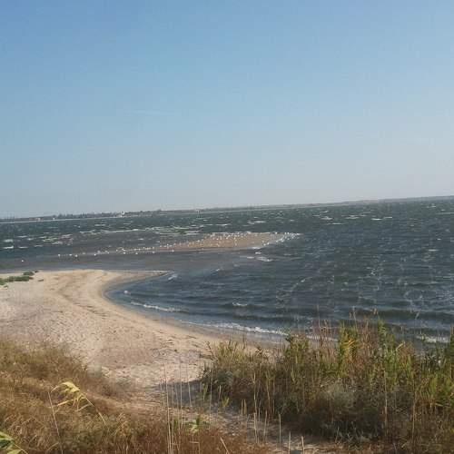 Photo #6760448