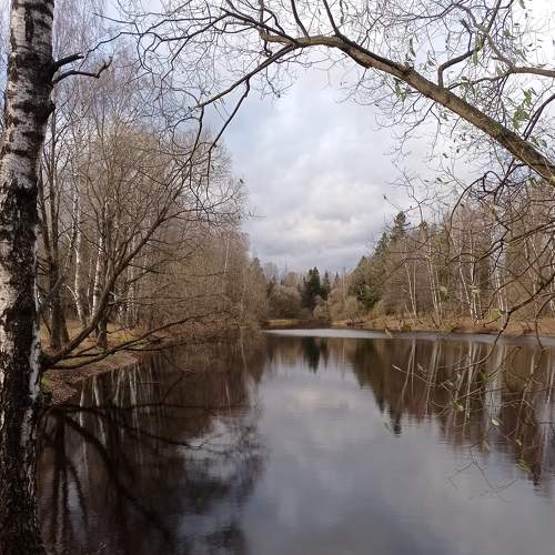Photo #6760894
