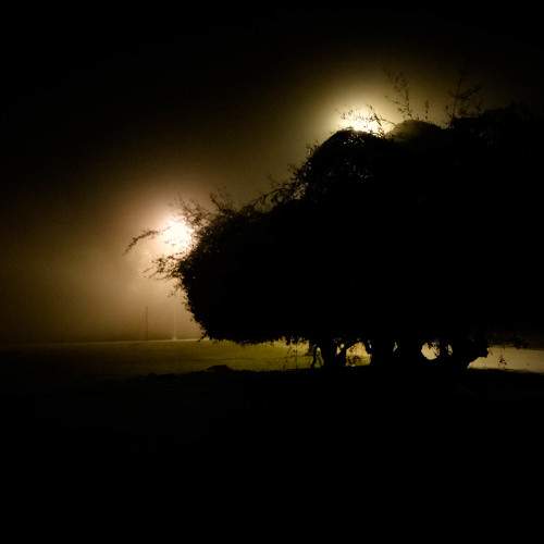 Photo #6761655
