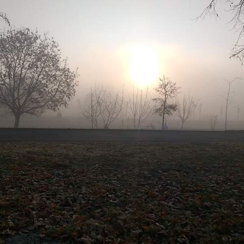 Photo #6761746