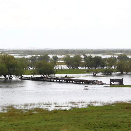 Мост на заливных лугах р. Баргузин. Большая вода.