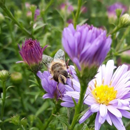 Photo #6762454