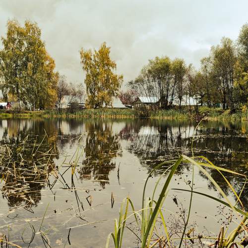 Photo #6762484