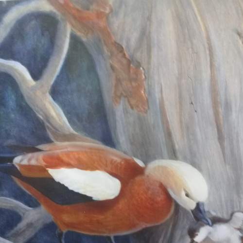 Photo #6762485