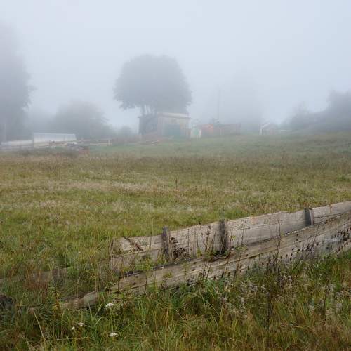 Photo #6762520