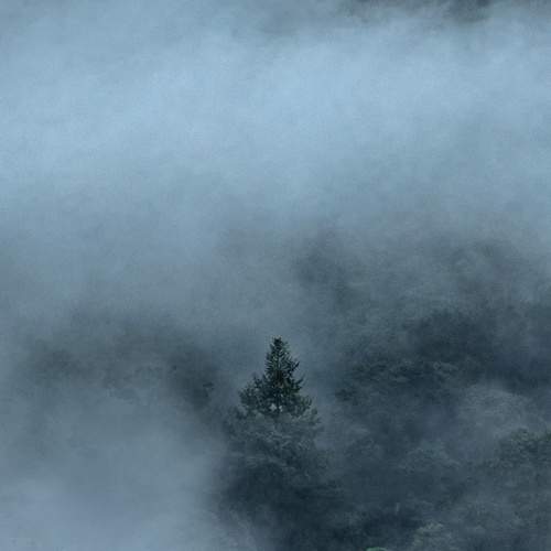 Photo #6763379