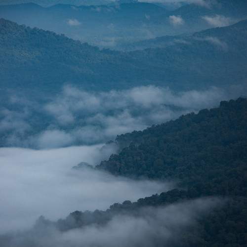 Photo #6763396