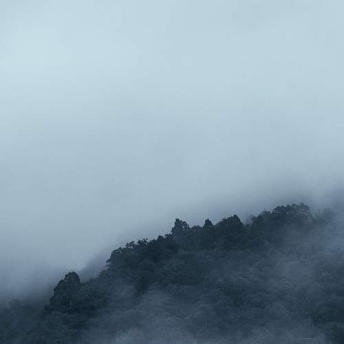 Photo #6763402