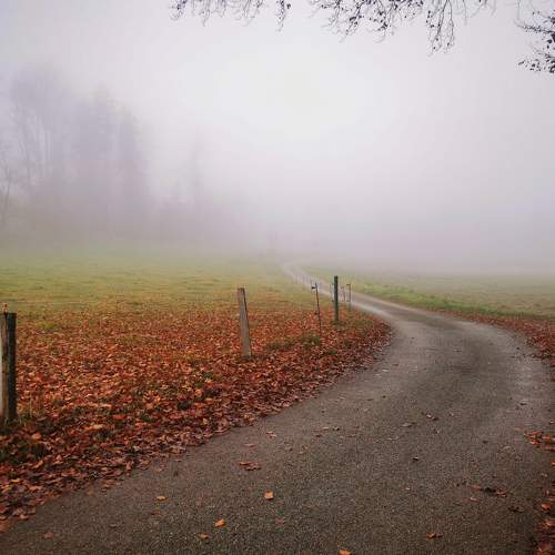 Photo #6763652