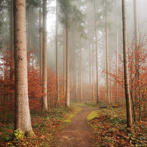 Photo #6763654