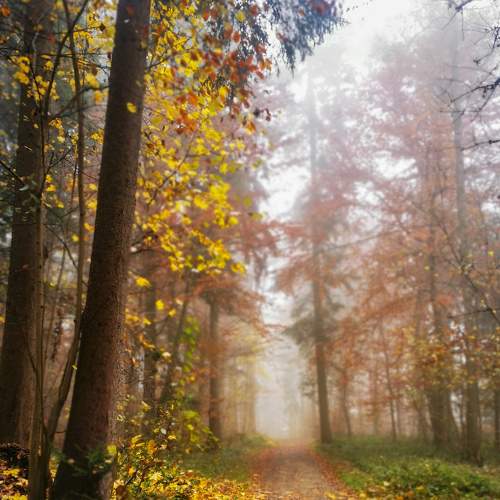 Photo #6763658