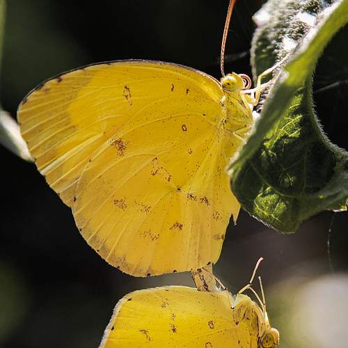 Photo #6763781