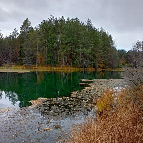 Photo #6764120