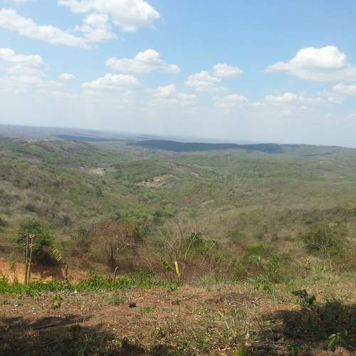 Photo #6764458