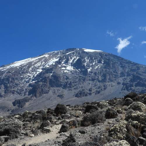 Photo #6764907