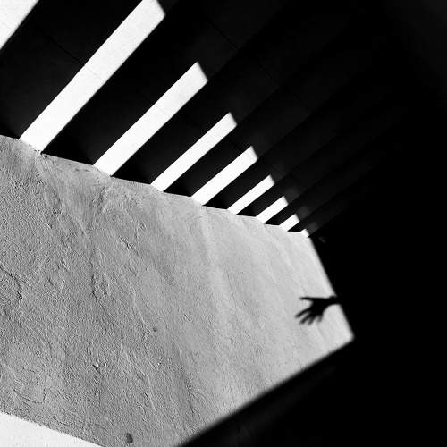 Photo #6764917