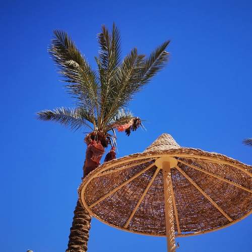 Photo #6765105