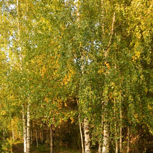 Photo #6765243