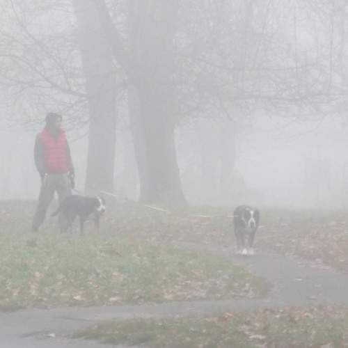 Photo #6765246