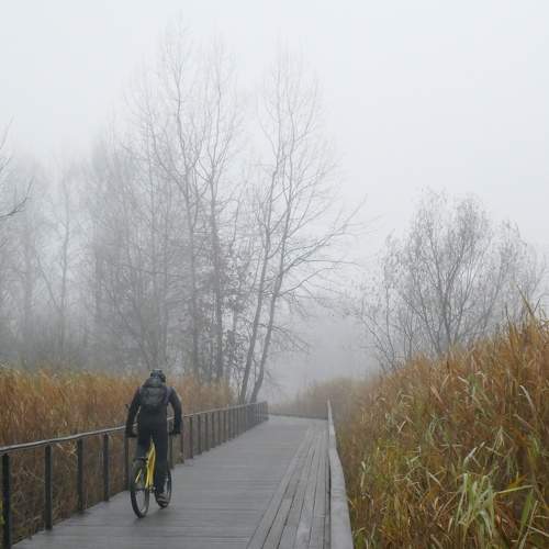 Photo #6765265