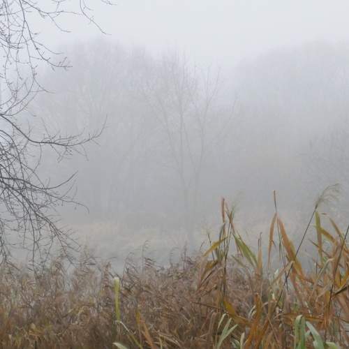 Photo #6765300