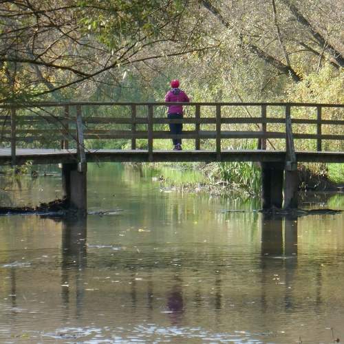 Photo #6765338