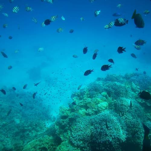 Photo #6765440